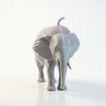 Mô hình chú voi Watermelephant in 3D độc đáo - Thumbnail 2
