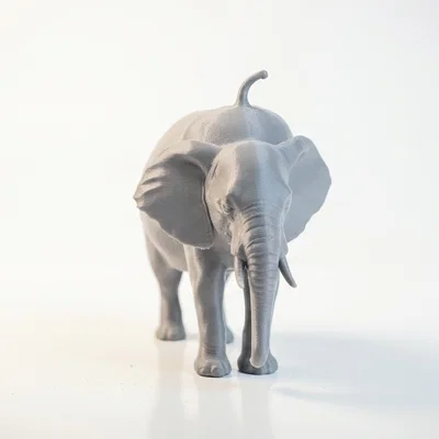 Mô hình chú voi Watermelephant in 3D độc đáo