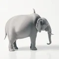 Mô hình chú voi Watermelephant in 3D độc đáo - Thumbnail 3