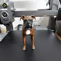 Mô hình tượng Chó Boxer chân thực - Thumbnail 1