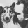 Michael_227585