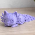 Bộ sưu tập mô hình in 3D: Hộp đựng bánh, thú cưng và móc khóa - Thumbnail 2