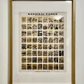 Móc treo khung tranh IKEA Rodlam tương thích Command Strip - Thumbnail 2