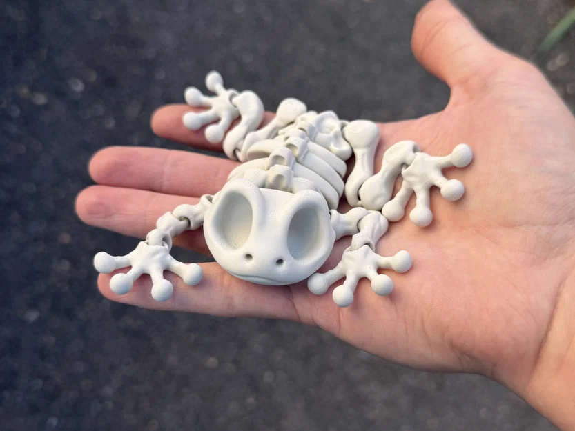 Mô hình ếch xương khớp nối (Articulated Skeleton Frog) - Image 1