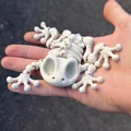 Mô hình ếch xương khớp nối (Articulated Skeleton Frog) - Thumbnail 1