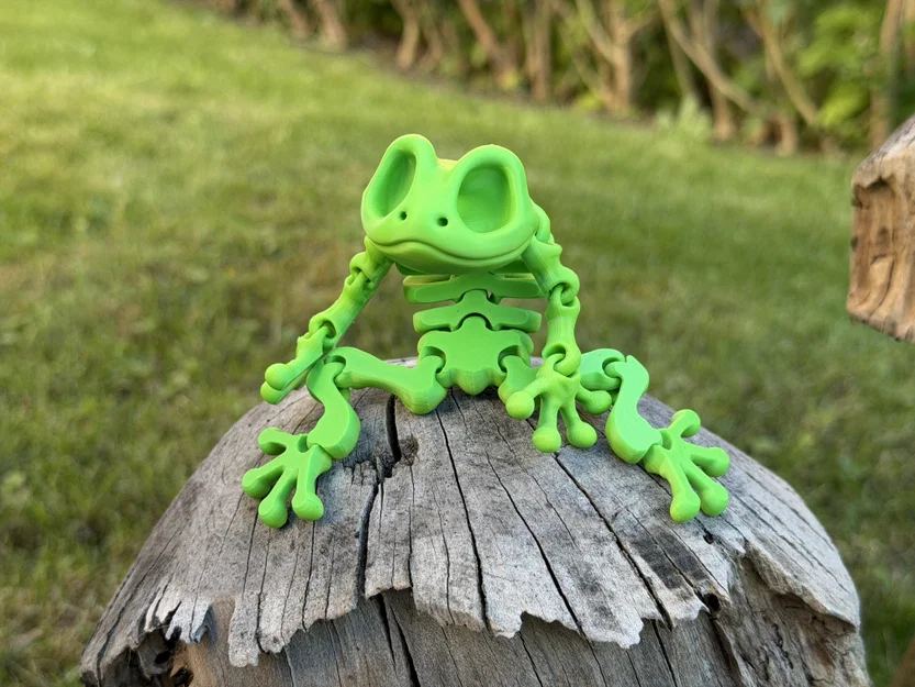 Mô hình ếch xương khớp nối (Articulated Skeleton Frog) - Image 3