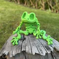 Mô hình ếch xương khớp nối (Articulated Skeleton Frog) - Thumbnail 3