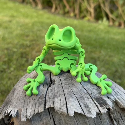 Mô hình ếch xương khớp nối (Articulated Skeleton Frog)