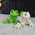 Mô hình ếch xương khớp nối (Articulated Skeleton Frog) - Thumbnail 4