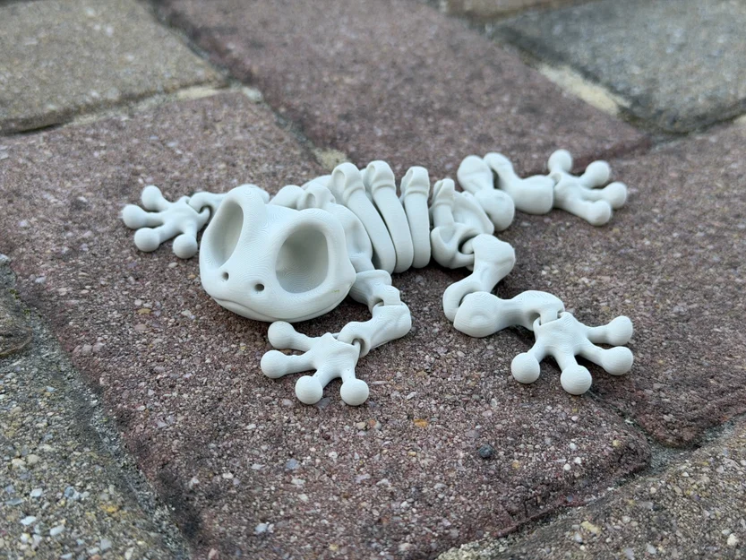 Mô hình ếch xương khớp nối (Articulated Skeleton Frog) - Image 5