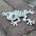 Mô hình ếch xương khớp nối (Articulated Skeleton Frog) - Thumbnail 5