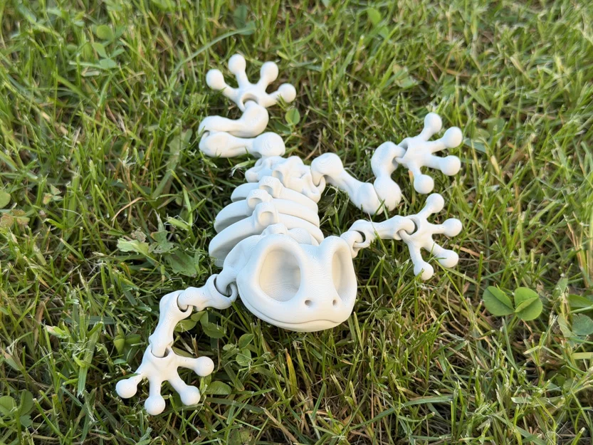 Mô hình ếch xương khớp nối (Articulated Skeleton Frog) - Image 7