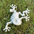 Mô hình ếch xương khớp nối (Articulated Skeleton Frog) - Thumbnail 7