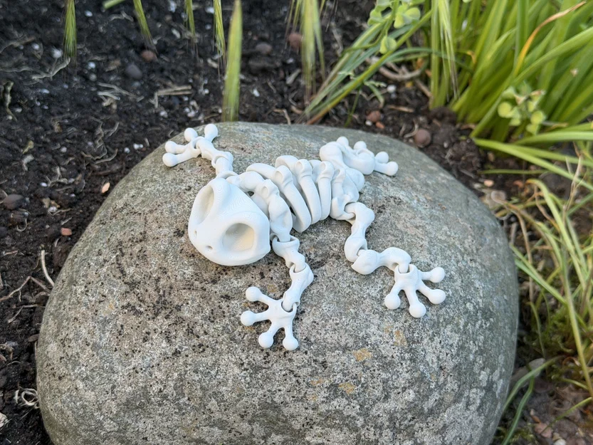 Mô hình ếch xương khớp nối (Articulated Skeleton Frog) - Image 9