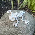 Mô hình ếch xương khớp nối (Articulated Skeleton Frog) - Thumbnail 9