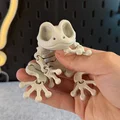 Mô hình ếch xương khớp nối (Articulated Skeleton Frog) - Thumbnail 10