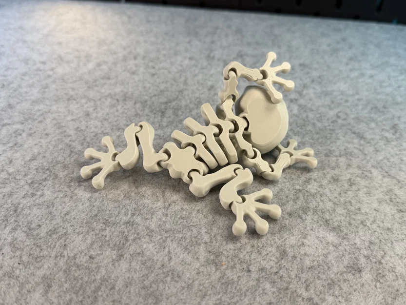 Mô hình ếch xương khớp nối (Articulated Skeleton Frog) - Image 11