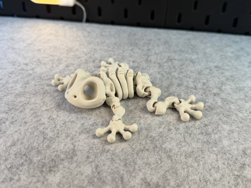 Mô hình ếch xương khớp nối (Articulated Skeleton Frog) - Image 12