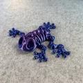 Mô hình ếch xương khớp nối (Articulated Skeleton Frog) - Thumbnail 13