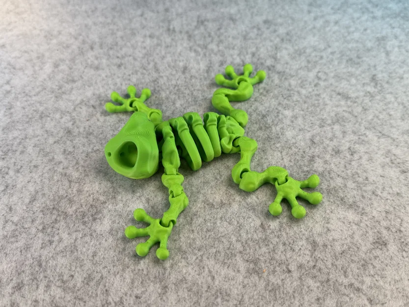 Mô hình ếch xương khớp nối (Articulated Skeleton Frog) - Image 14