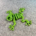 Mô hình ếch xương khớp nối (Articulated Skeleton Frog) - Thumbnail 14