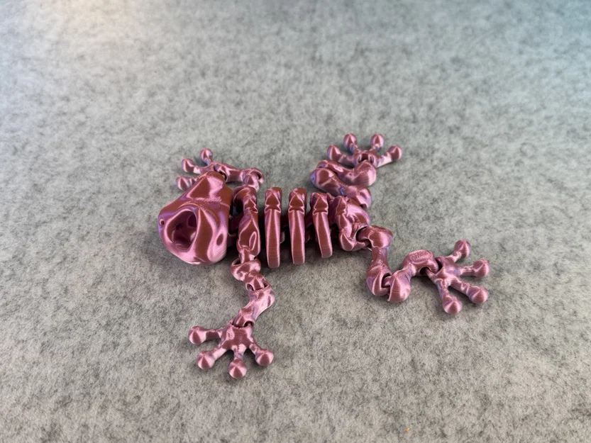 Mô hình ếch xương khớp nối (Articulated Skeleton Frog) - Image 15