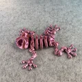 Mô hình ếch xương khớp nối (Articulated Skeleton Frog) - Thumbnail 15