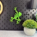 Mô hình ếch xương khớp nối (Articulated Skeleton Frog) - Thumbnail 16