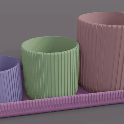 Bộ hũ đựng gia vị đa năng kèm khay (Jars for various) in 3D