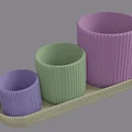 Bộ hũ đựng gia vị đa năng kèm khay (Jars for various) in 3D - Thumbnail 6