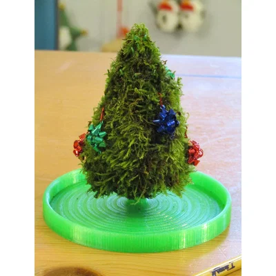 Cây thông Noel bằng rêu (Christmoss Tree!)