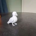 Chú Chim Bồ Câu Nhỏ Hạnh Phúc (Happy Little Pigeon) - Thumbnail 2