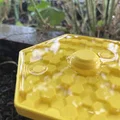 Máng ăn / Máng nước cho ong - Thumbnail 4
