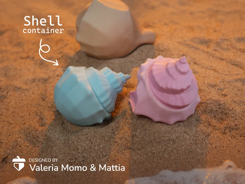 Hộp Đựng Mô Hình Vỏ Sò (Shell Diorama Container) - Image 1
