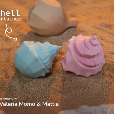 Hộp Đựng Mô Hình Vỏ Sò (Shell Diorama Container)