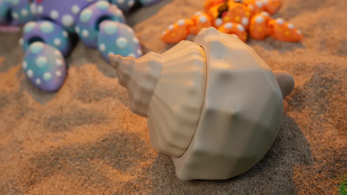 Hộp Đựng Mô Hình Vỏ Sò (Shell Diorama Container) - Image 3