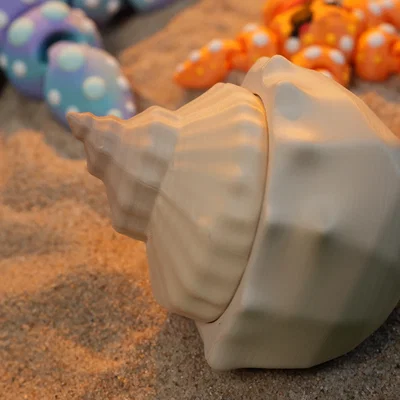 Hộp Đựng Mô Hình Vỏ Sò (Shell Diorama Container)