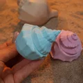 Hộp Đựng Mô Hình Vỏ Sò (Shell Diorama Container) - Thumbnail 4