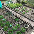 Khớp Nối Khung Vườn (Garten Frame Connectors) - Thumbnail 4