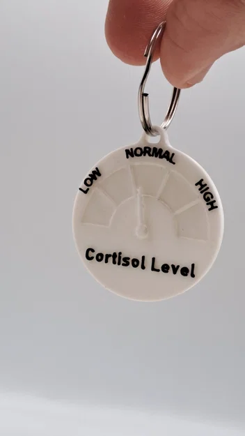 Móc khóa Cortisol Level (Mức độ căng thẳng) - Image 4