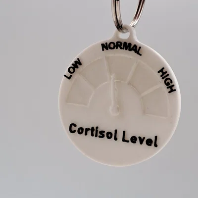 Móc khóa Cortisol Level (Mức độ căng thẳng)