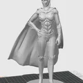 Mô hình 3D Batgirl từ DC Comic đầy ấn tượng cho người sưu tập - Thumbnail 2
