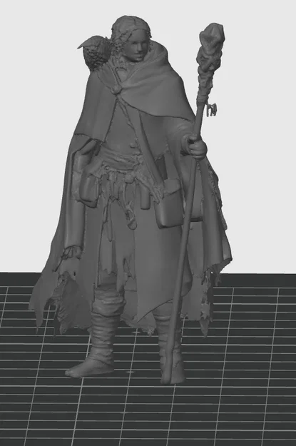 Mô hình 3D Nhân vật Pháp sư (Mage Character) cho Dungeons & Dragons - Image 1
