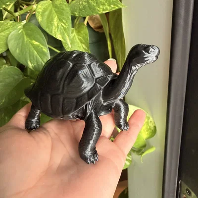 Mô hình Rùa Galapagos