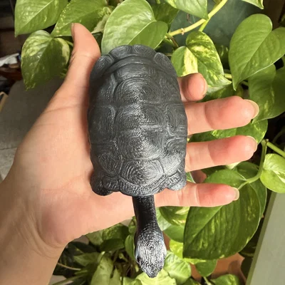 Mô hình Rùa Galapagos
