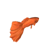 Mô hình 3D cá bảy màu Guppy đực trang trí hồ thủy sinh - Image 1