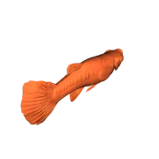 Mô hình 3D Cá Bảy Màu Cái (Guppy Female) tinh tế - Image 1