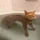 mezz_1697240