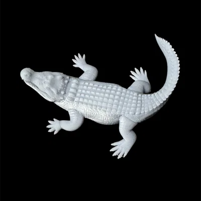 Mô hình Cá sấu nước mặn (Saltwater Crocodile)