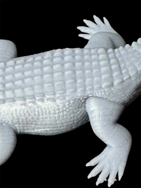 Mô hình Cá sấu nước mặn (Saltwater Crocodile) - Image 2